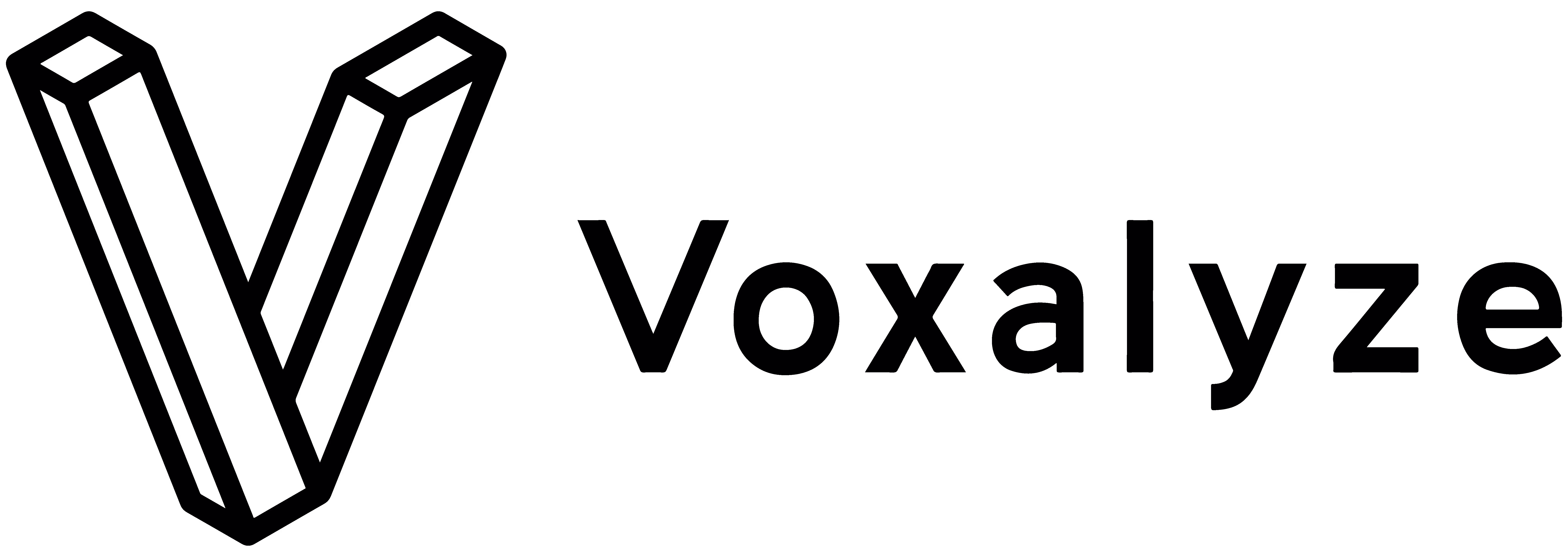 Voxalyze